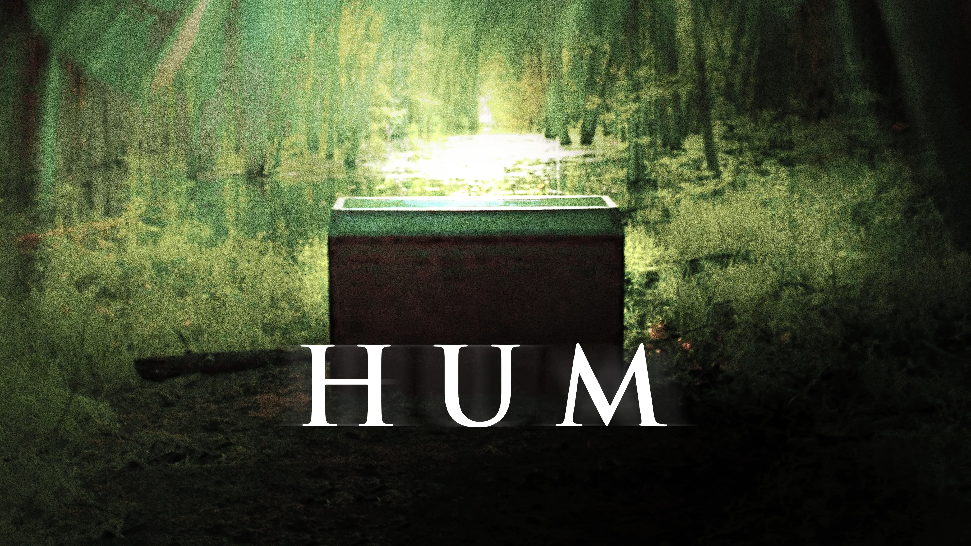 Hum poster